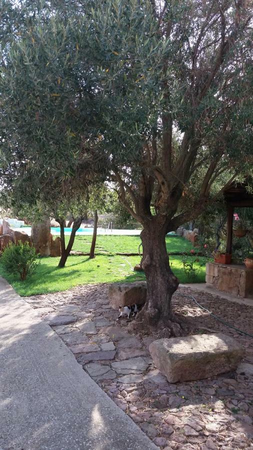 Agriturismo Sa E Padedda Mores Eksteriør bilde