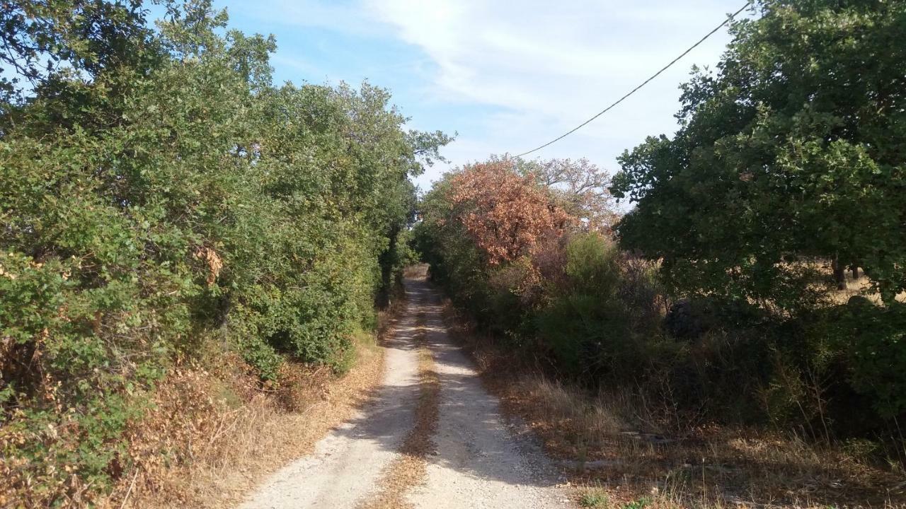 Agriturismo Sa E Padedda Mores Eksteriør bilde