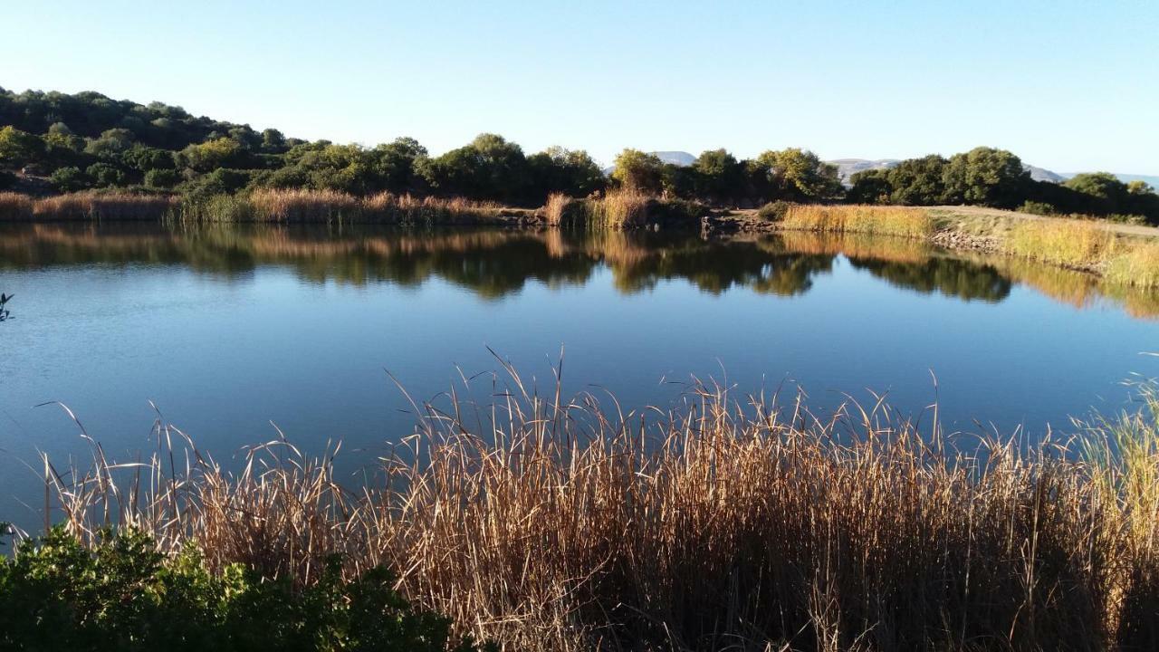 Agriturismo Sa E Padedda Mores Eksteriør bilde