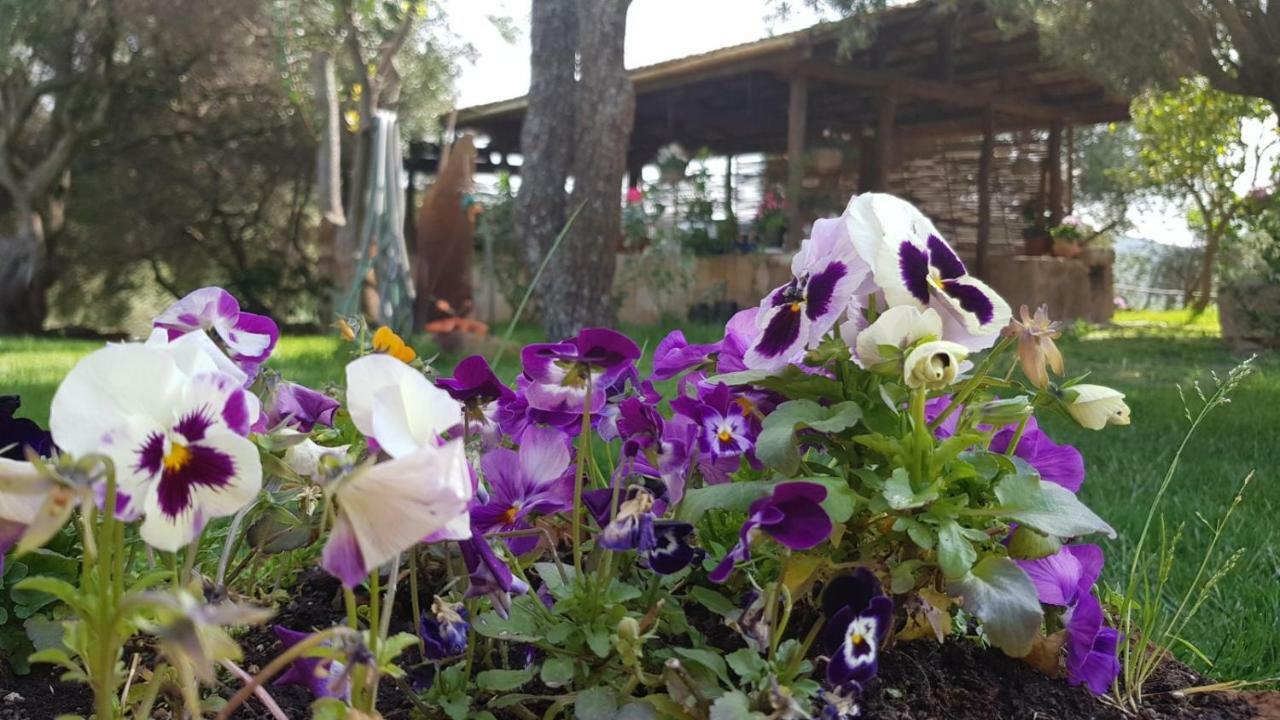 Agriturismo Sa E Padedda Mores Eksteriør bilde